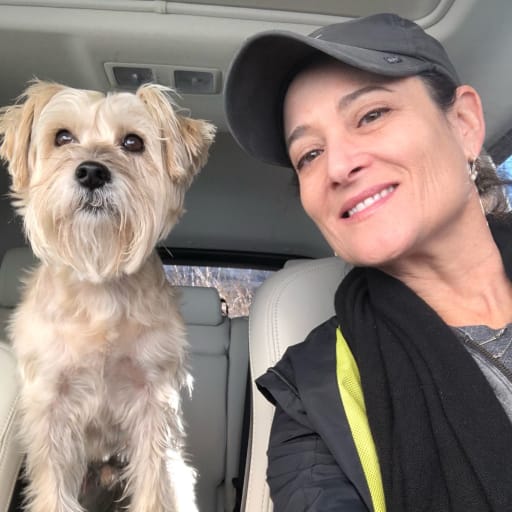 Profile image for pet sitter Jill