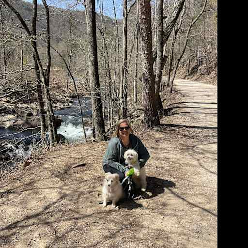 Profile image for pet sitter Brigitte