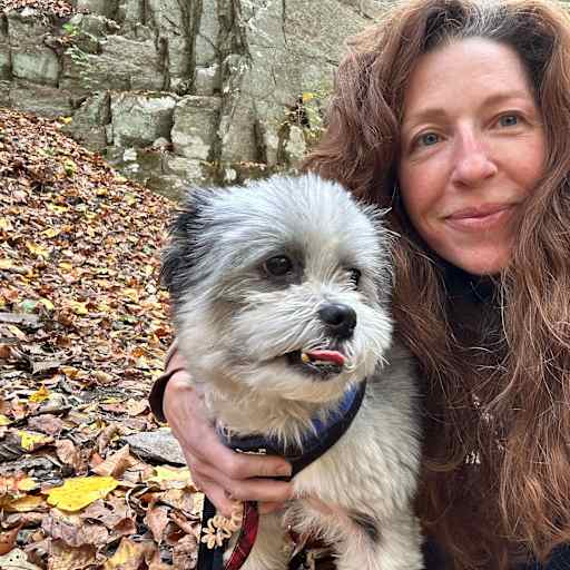 Profile image for pet sitter Bronwen