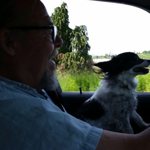 Profile image for pet sitters Elise & Rick