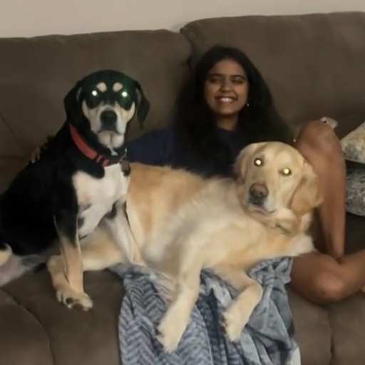 Profile image for pet sitter Jyeshri