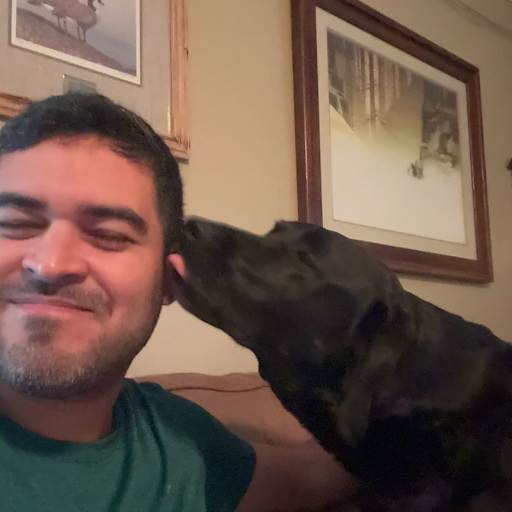 Profile image for pet sitter Paulo