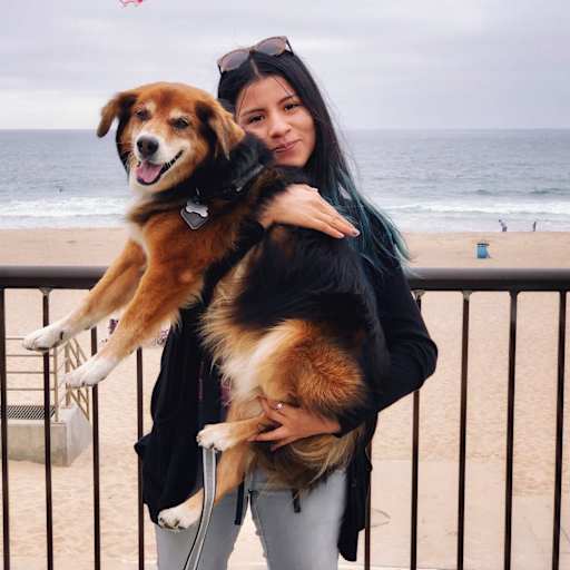 Profile image for pet sitter Marisol