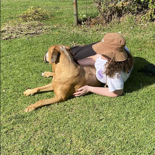 Profile image for pet sitter Kaz