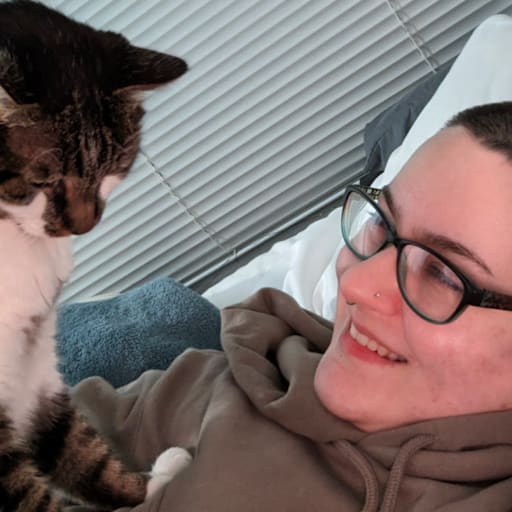 Profile image for pet sitter Linda
