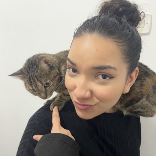 Profile image for pet sitters Júlia & Cristiano