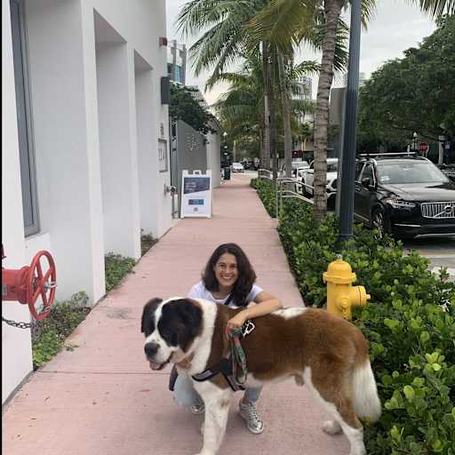 Profile image for pet sitter Anna