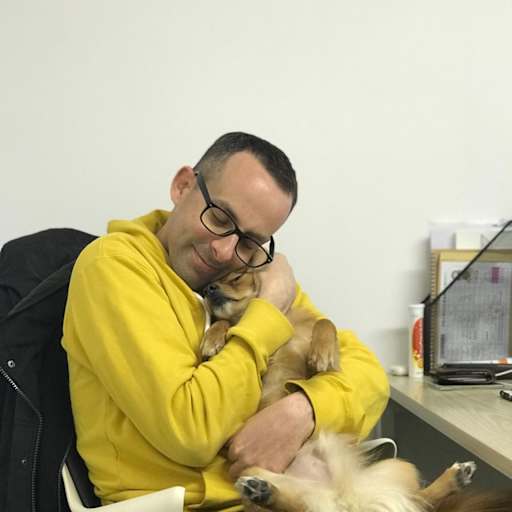 Profile image for pet sitter Alexander