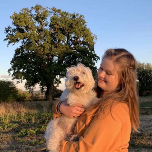 Profile image for pet sitter Poppy