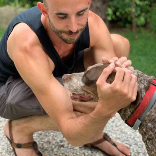 Profile image for pet sitter Daan