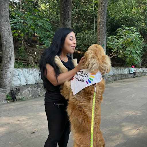 Profile image for pet sitter Dafne Stefania