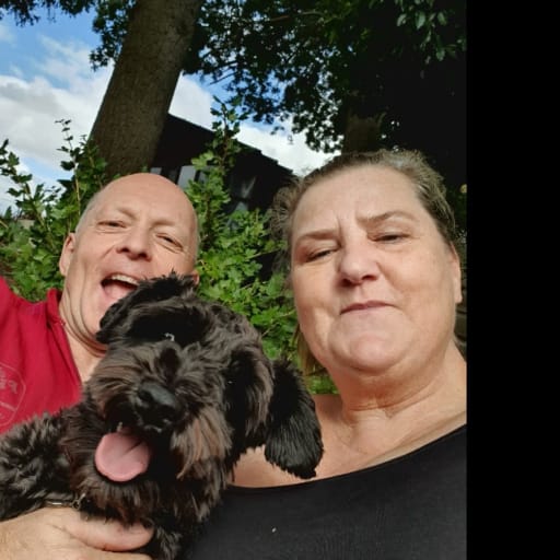 Profile image for pet sitters Leigh & Nick