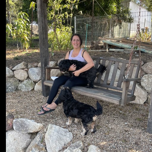 Profile image for pet sitter Dulce