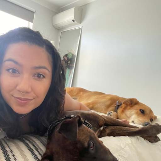 Profile image for pet sitter Laurel