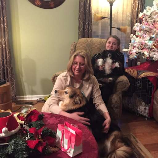 Profile image for pet sitter Lora