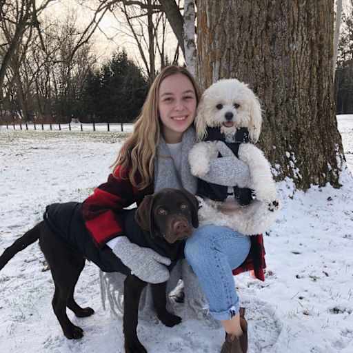Profile image for pet sitter Heather