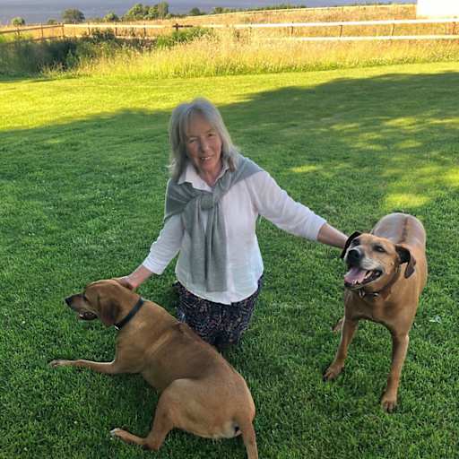 Profile image for pet sitter Una