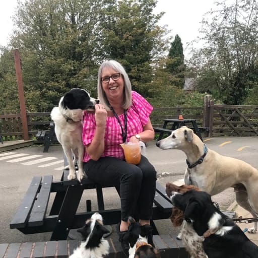 Profile image for pet sitter Helen