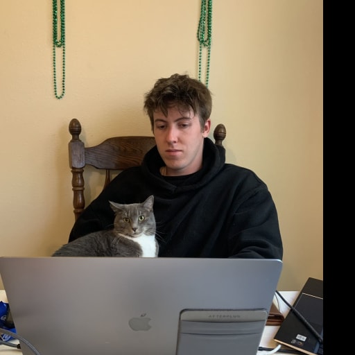 Profile image for pet sitter Ryan