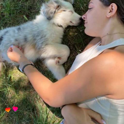 Profile image for pet sitter Marion
