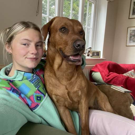 Profile image for pet sitters hannah & Abbie