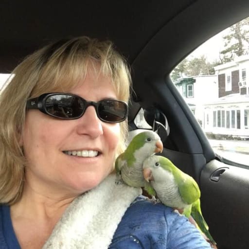 Profile image for pet sitter Janet