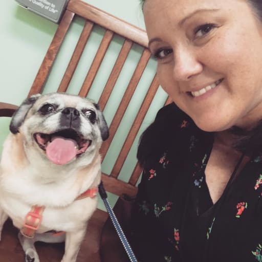 Profile image for pet sitter Bridgette