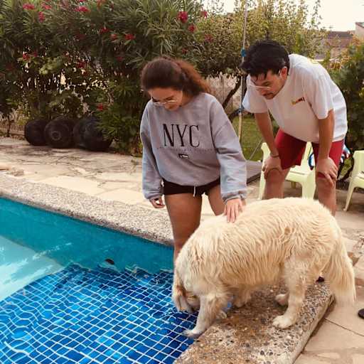 Profile image for pet sitters Noelia & Juan