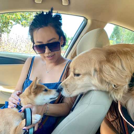 Profile image for pet sitters stephanie & Ivan