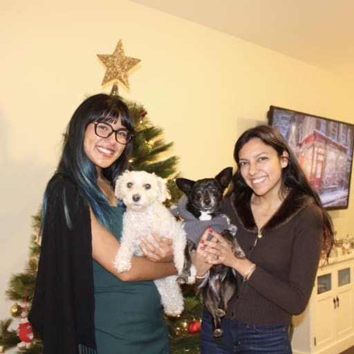 Profile image for pet sitters Sabina & Sarah