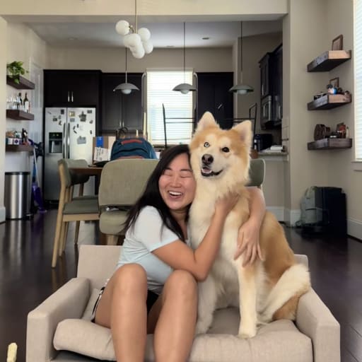 Profile image for pet sitter Yuna