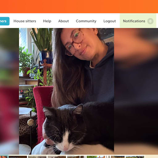 Profile image for pet sitter Andréia