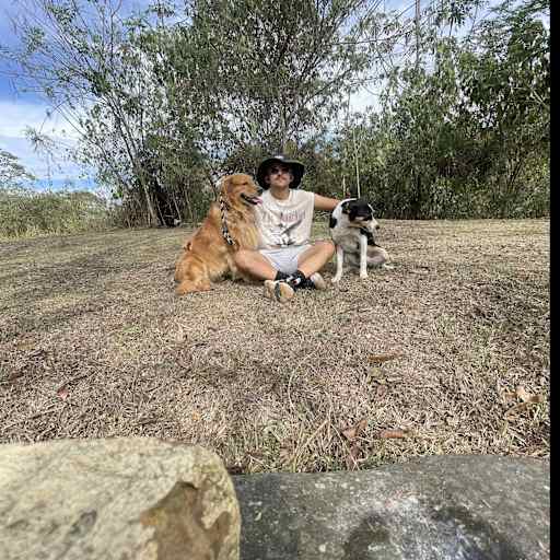 Profile image for pet sitter Nicolas