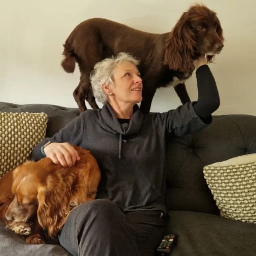 Profile image for pet sitters Carol & Tim 