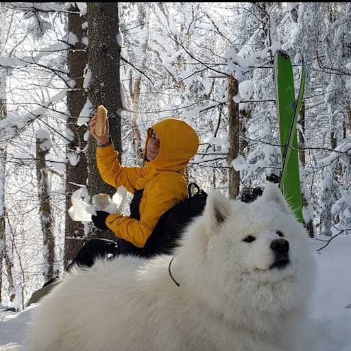 Profile image for pet sitter Ilana