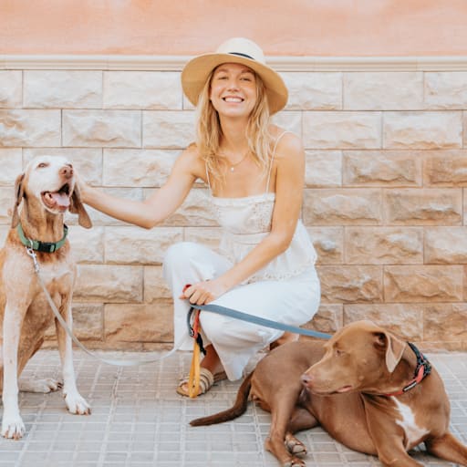 Profile image for pet sitters Salomea & Noam