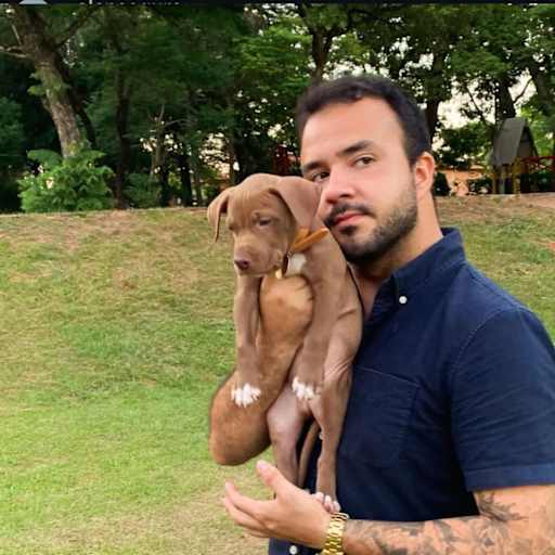 Profile image for pet sitter Alan