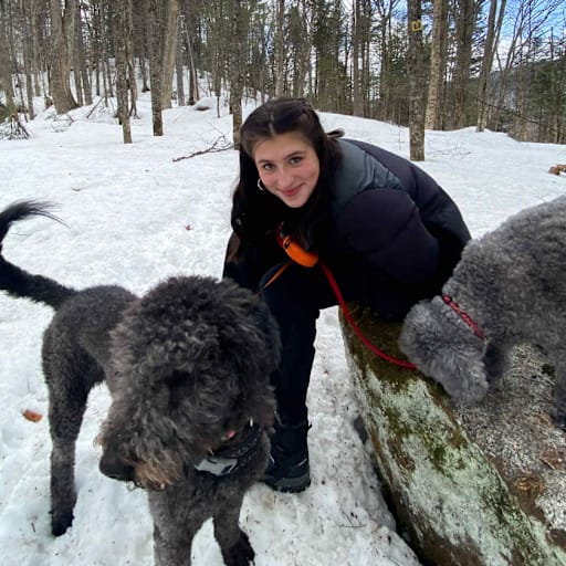 Profile image for pet sitter Maëlys