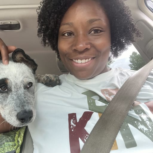 Profile image for pet sitter Nikita Daniely