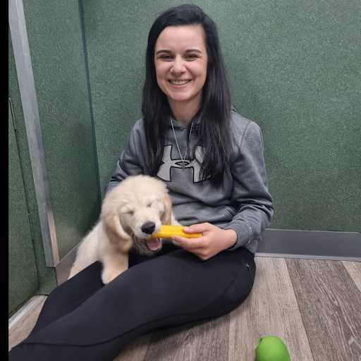 Profile image for pet sitter Cassy