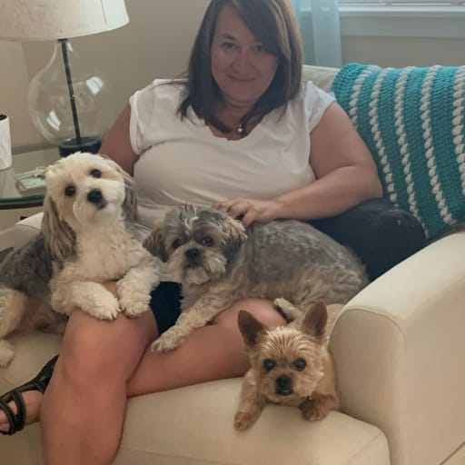 Profile image for pet sitter Anna