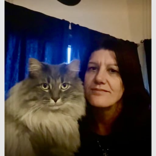 Profile image for pet sitter Sharon