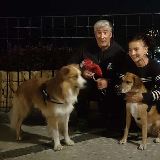 Profile image for pet sitters Juan Marcos Martínez & Sara