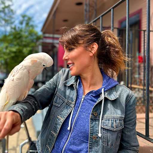 Profile image for pet sitter Cory