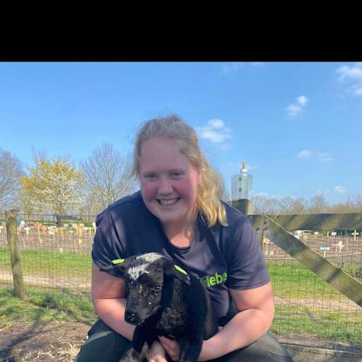 Profile image for pet sitter Britney