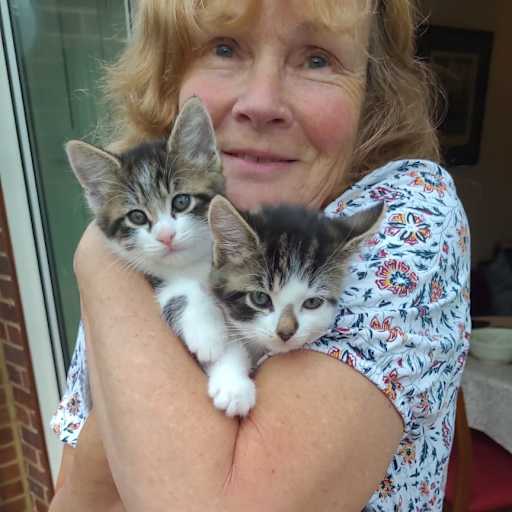 Profile image for pet sitter Rosemary