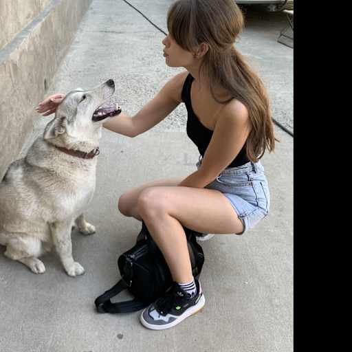Profile image for pet sitters Valeriya & Dmitriy 