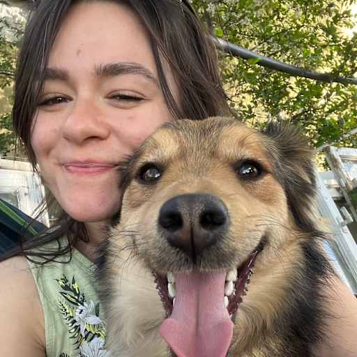 Profile image for pet sitter Denisa