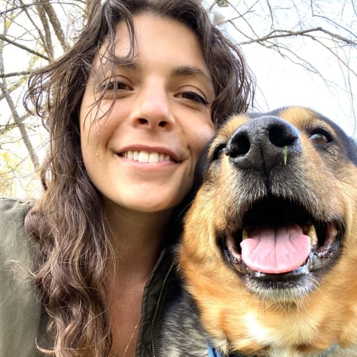 Profile image for pet sitter Marissa