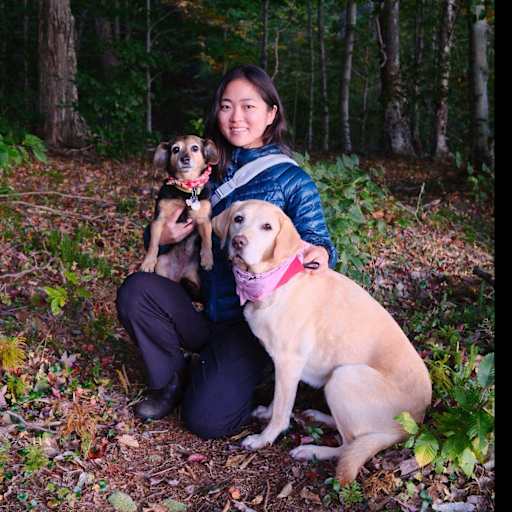 Profile image for pet sitter Hasol